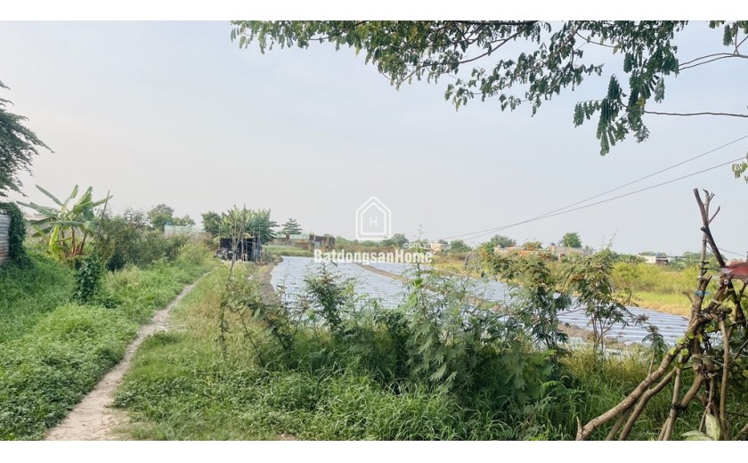 Cơ Hội Vàng! 3018m2 Đất CLN Bình Chánh, Lê Thị Dung - Chỉ 23 tỷ, Sổ Hồng, Đường 10m!